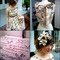 Picnik_collage_grid