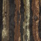 Dsc02404_grid