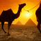 Egypt_grid