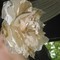 Corsage2_grid