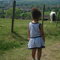 Dsc02655_grid
