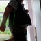 Vest_walking_grid