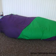 Completed_bean_bag_listing