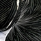 Jod1_grid