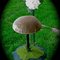 Mushroom_chair_grid