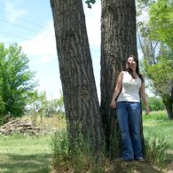 100_2601_listing