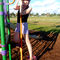 P1060396_crop_brco_grid