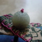 Dsc01820_grid