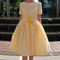 Dsc02140_grid