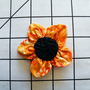 Dscf6700_thumb