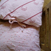 P6290006prvni_listing