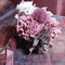 Pic_3_grid