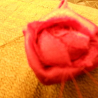 Dscn0881_listing