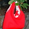 Dsc01047_grid