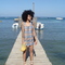 Dsc03576_grid