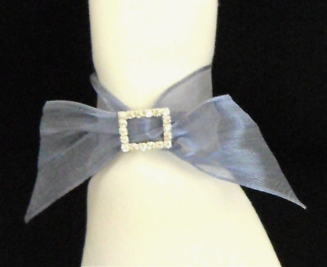 Napkin_ring_large
