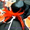 Dscf6292_grid