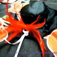 Dscf6292_listing