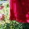 P7090046_grid