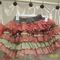 Sugarplums_fashion_010_grid