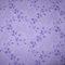 Dscn2349_grid