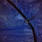 P2344_17-07-10_grid