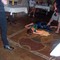100_2370_grid