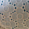 Dscf3712_grid
