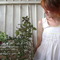 Dsc02370_grid