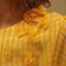 Dsc04284_grid