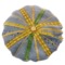 Beret-view-of-top_grid