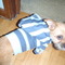 P1010141_grid