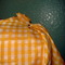 Dsc04260_grid