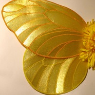 Wing_1__listing