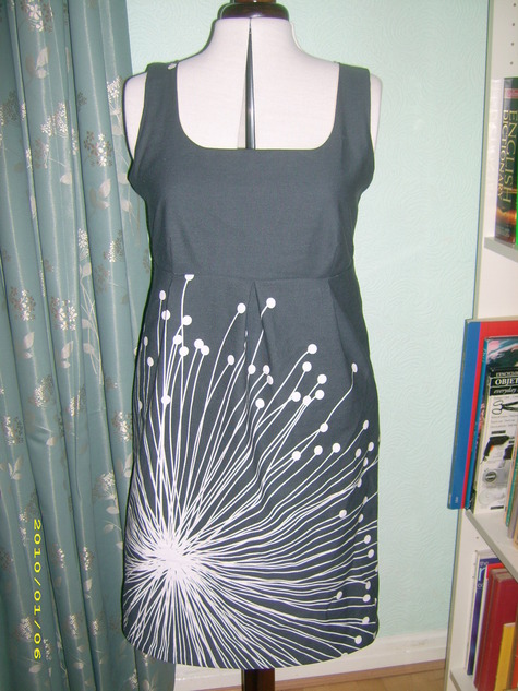 Dsci0036_large