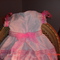 Dsc00159_grid