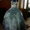 Dress2_engagement_grid