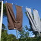 Dsc00983_grid