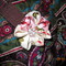 Dscn0833_grid