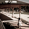 Dsc_1254_grid