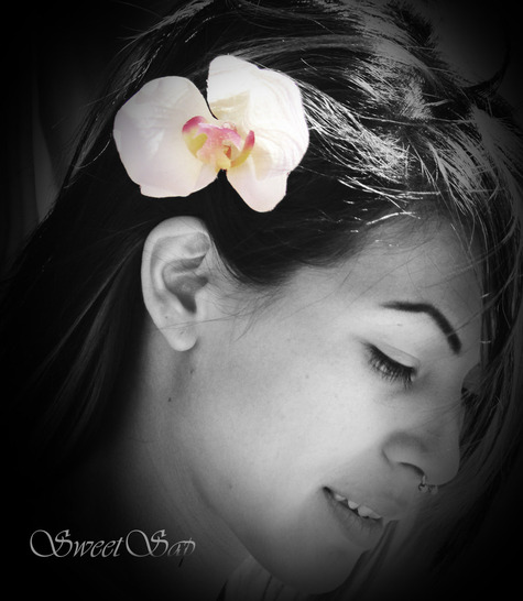 Etsyorchidheatherj_large