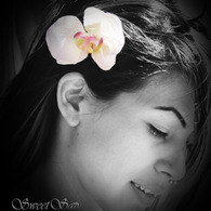 Etsyorchidheatherj_listing