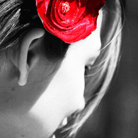 Etsyredflowerheatherj_listing