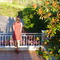 P1030093_grid