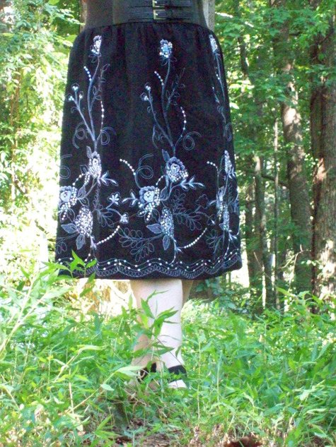Fullskirtcloseup_large