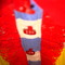 Dsc02916_grid