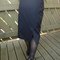 Imgp9648_grid