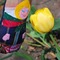 20100417_040_grid