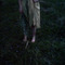 100_3120_grid