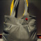 Striped_wasp_bag_grid